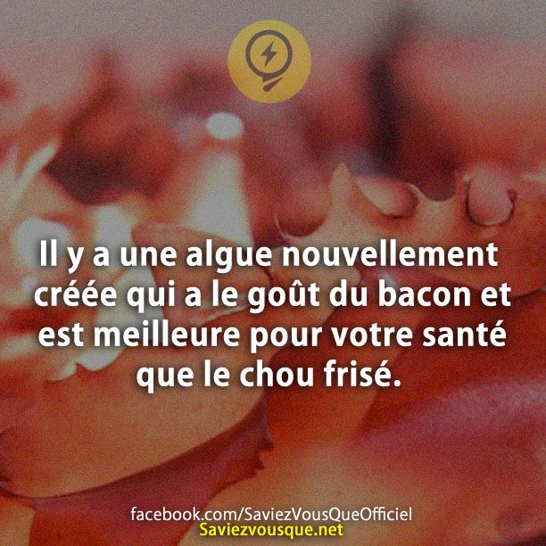 Il y a une algue nouvellement créée qui a le goût du bacon et est meilleure pour votre santé que le chou frisé.
