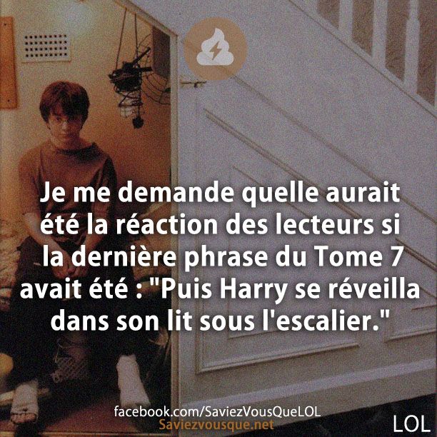Je me demande quelle aurait été la réaction des lecteurs si la dernière phrase du Tome 7 avait été : &quot;Puis Harry se réveilla dans son lit sous l&#039;escalier.&quot;