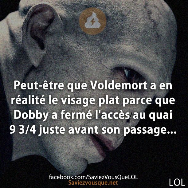 Peut-être que Voldemort a en réalité le visage plat parce que Dobby a fermé l&#039;accès au quai 9 3/4 juste avant son passage...