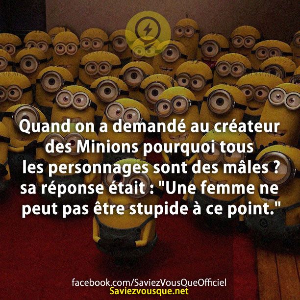 Quand on a demandé au créateur des Minions pourquoi tous les personnages sont des mâles ? sa réponse était : &quot;Une femme ne peut pas être stupide à ce point.&quot;