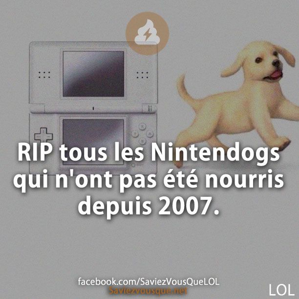 RIP tous les Nintendogs qui n&#039;ont pas été nourris depuis 2007.