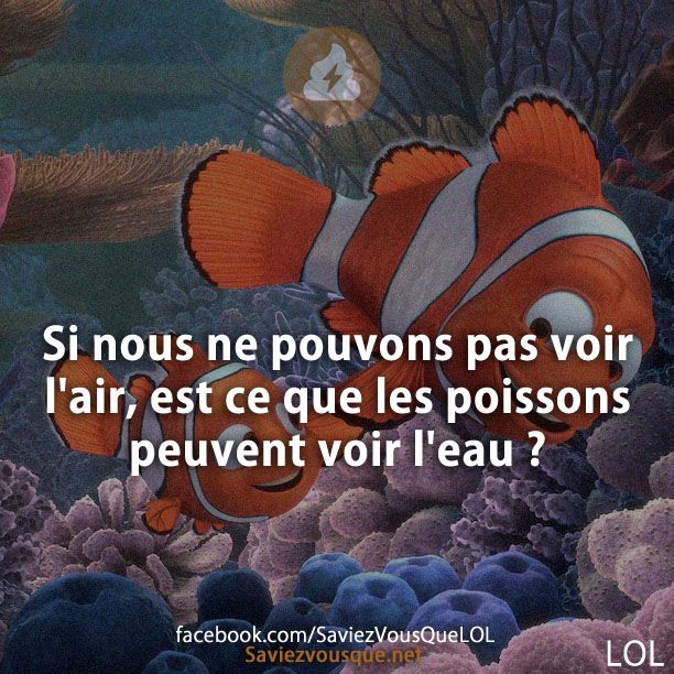 Si nous ne pouvons pas voir l&#039;air, est ce que les poissons peuvent voir l&#039;eau ?