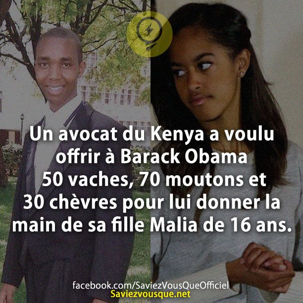 Un avocat du Kenya a voulu offrir à Barack Obama 50 vaches, 70 moutons et 30 chèvres pour lui donner la main de sa fille Malia de 16 ans.