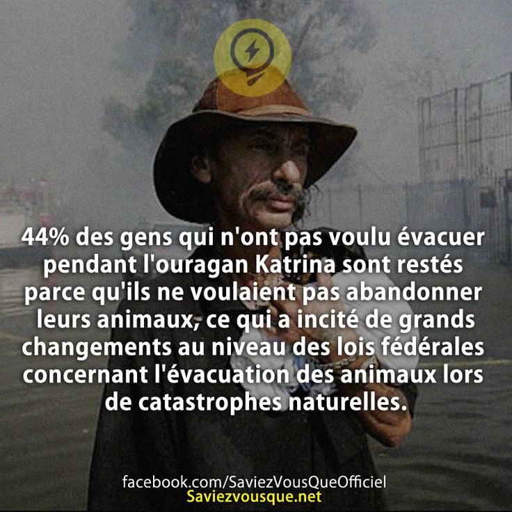 44% des gens qui n&#039;ont pas voulu évacuer pendant l&#039;ouragan Katrina sont restés parce qu&#039;ils ne voulaient pas abandonner leurs animaux, ce qui a incité de grands changements au niveau des lois fédérales concernant l&#039;évacuation des animaux lors de catastrophes naturelles.