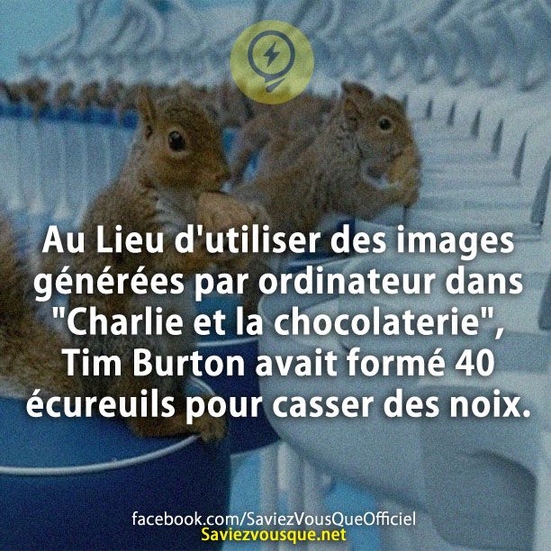 Au Lieu d&#039;utiliser des images générées par ordinateur dans &quot;Charlie et la chocolaterie&quot;, Tim Burton avait formé 40 écureuils pour casser des noix.