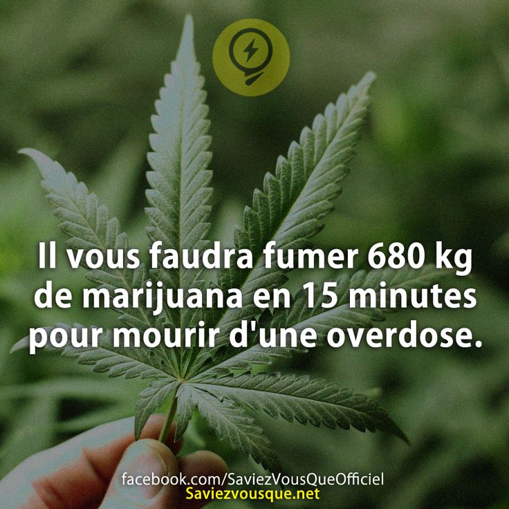 Il vous faudra fumer 680 kg de marijuana en 15 minutes pour mourir d&#039;une overdose.