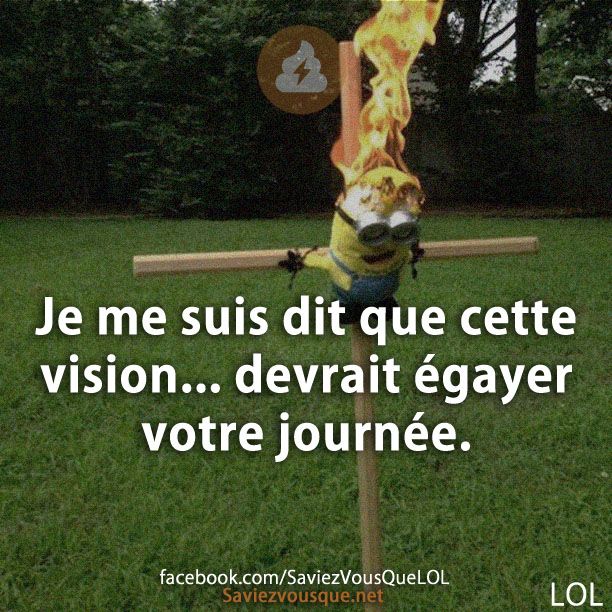 Je me suis dit que cette vision... devrait égayer votre journée.