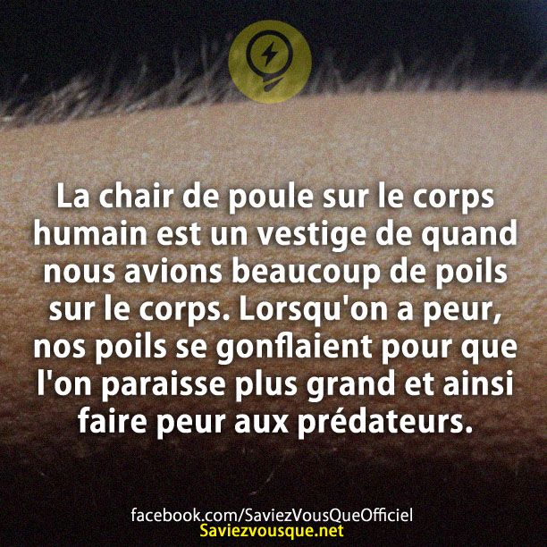 La chair de poule sur le corps humain est un vestige de quand nous avions beaucoup de poils sur le corps. Lorsqu&#039;on a peur, nos poils se gonflaient pour que l&#039;on paraisse plus grand et ainsi faire peur aux prédateurs.