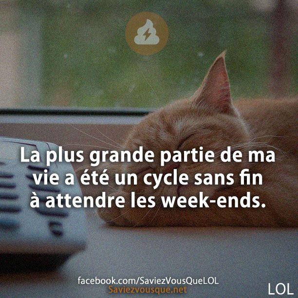 La plus grande partie de ma vie a été un cycle sans fin à attendre les week-ends.