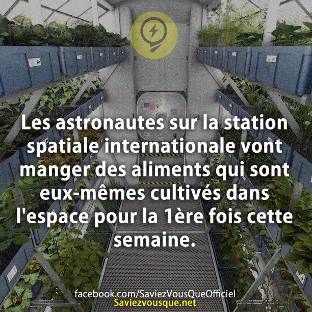 Les astronautes sur la station spatiale internationale vont manger des aliments qui sont eux-mêmes cultivés dans l&#039;espace pour la 1ère fois cette semaine.