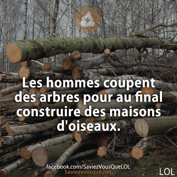Les hommes coupent des arbres pour au final construire des maisons d&#039;oiseaux.