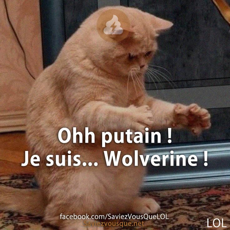 Ohh putain ! Je suis... Wolverine !