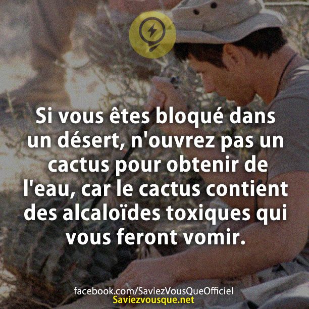 Si vous êtes bloqué dans un désert, n&#039;ouvrez pas un cactus pour obtenir de l&#039;eau, car le cactus contient des alcaloïdes toxiques qui vous feront vomir.