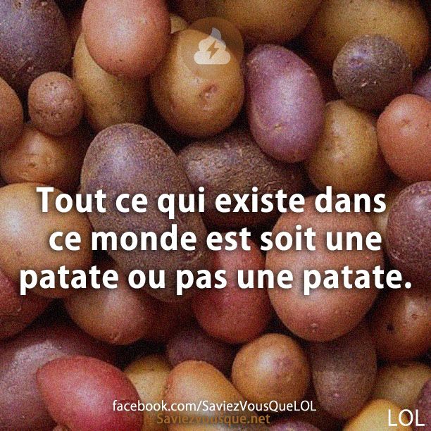 Tout ce qui existe dans ce monde est soit une patate ou pas une patate.
