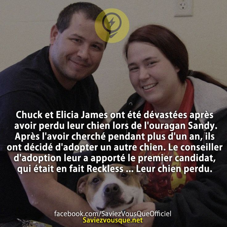Chuck et Elicia James ont été dévastées après avoir perdu leur chien lors de l&#039;ouragan Sandy. Après l&#039;avoir cherché pendant plus d&#039;un an, ils ont décidé d&#039;adopter un autre chien. Le conseiller d&#039;adoption leur a apporté le premier candidat, qui était en fait Reckless ... Leur chien perdu.