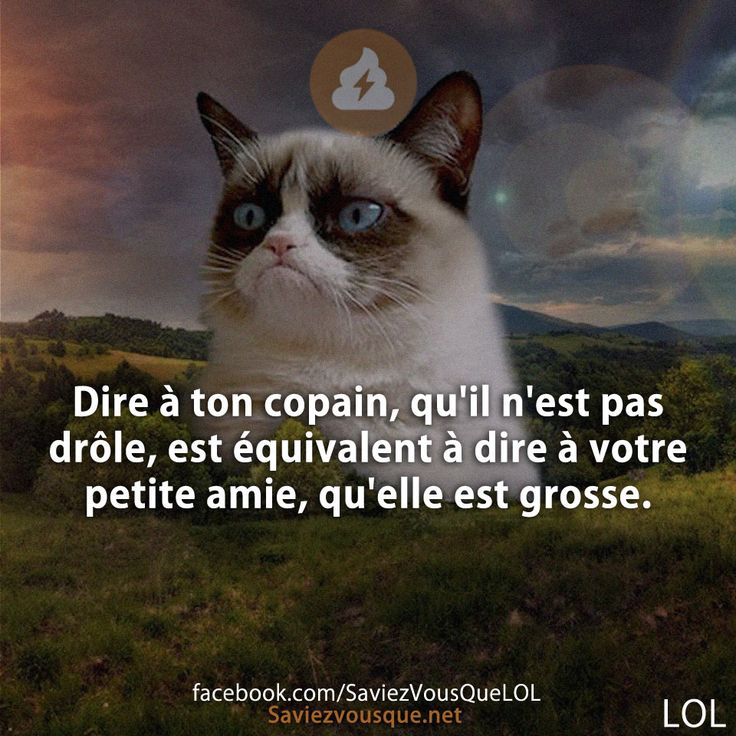 Dire à ton copain, qu&#039;il n&#039;est pas drôle, est équivalent à dire à votre petite amie, qu&#039;elle est grosse.