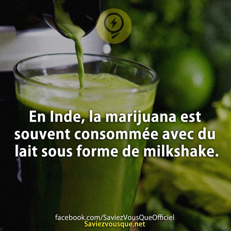 En Inde, la marijuana est souvent consommée avec du lait sous forme de milkshake.