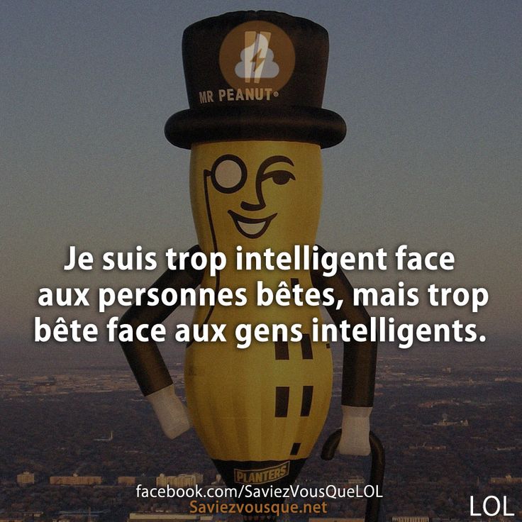 Je suis trop intelligent face aux personnes bêtes, mais trop bête face aux gens intelligents.