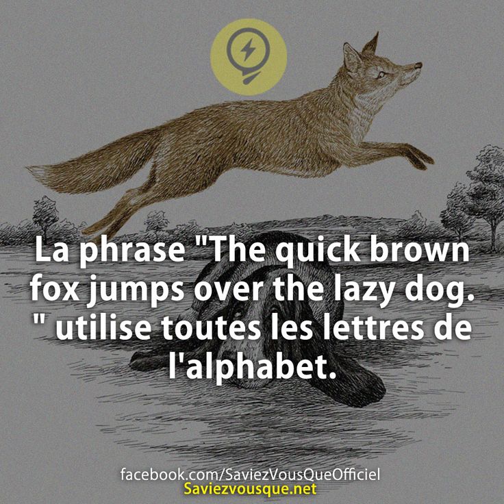 La phrase &quot;The quick brown fox jumps over the lazy dog.&quot; utilise toutes les lettres de l&#039;alphabet.