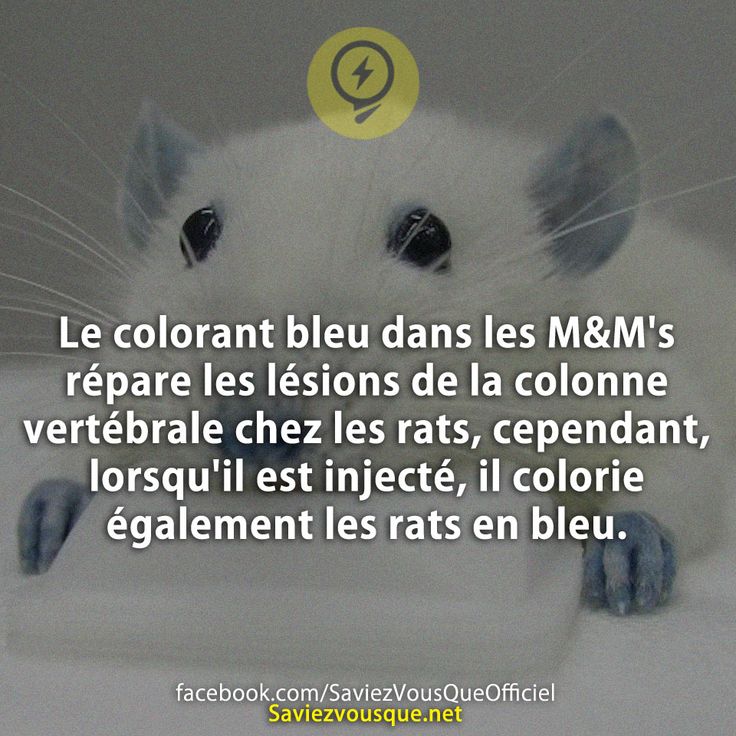 Le colorant bleu dans les M&amp;M&#039;s répare les lésions de la colonne vertébrale chez les rats, cependant, lorsqu&#039;il est injecté, il colorie également les rats en bleu.