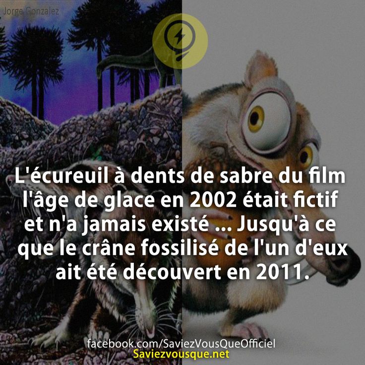 L&#039;écureuil à dents de sabre du film l&#039;âge de glace en 2002 était fictif et n&#039;a jamais existé ... Jusqu&#039;à ce que le crâne fossilisé de l&#039;un d&#039;eux ait été découvert en 2011.
