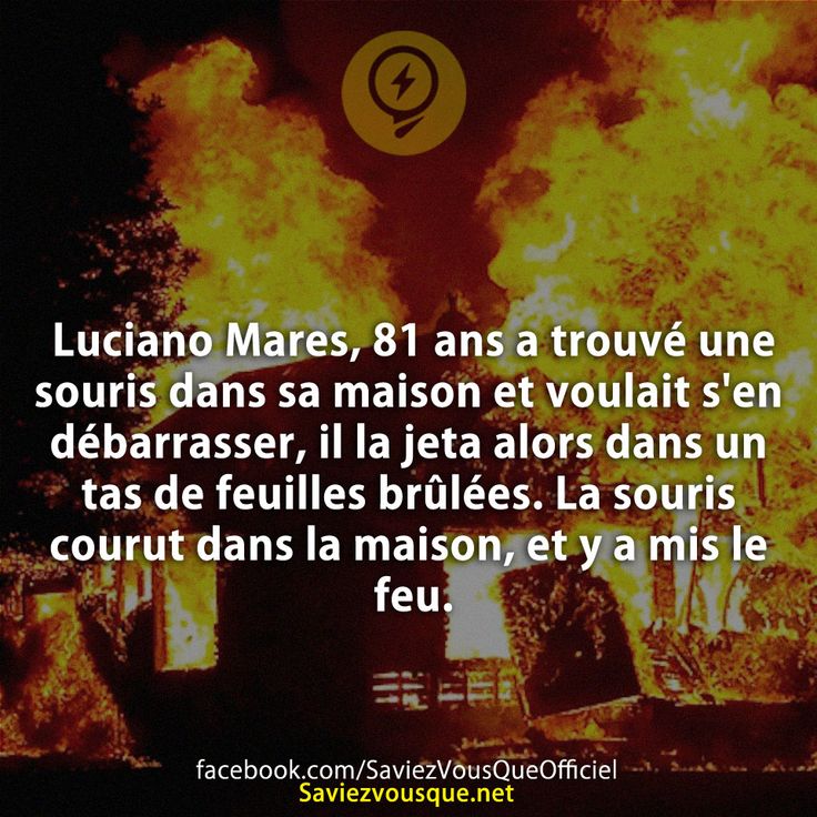 Luciano Mares, 81 ans a trouvé une souris dans sa maison et voulait s&#039;en débarrasser, il la jeta alors dans un tas de feuilles brûlées. La souris courut dans la maison, et y a mis le feu.