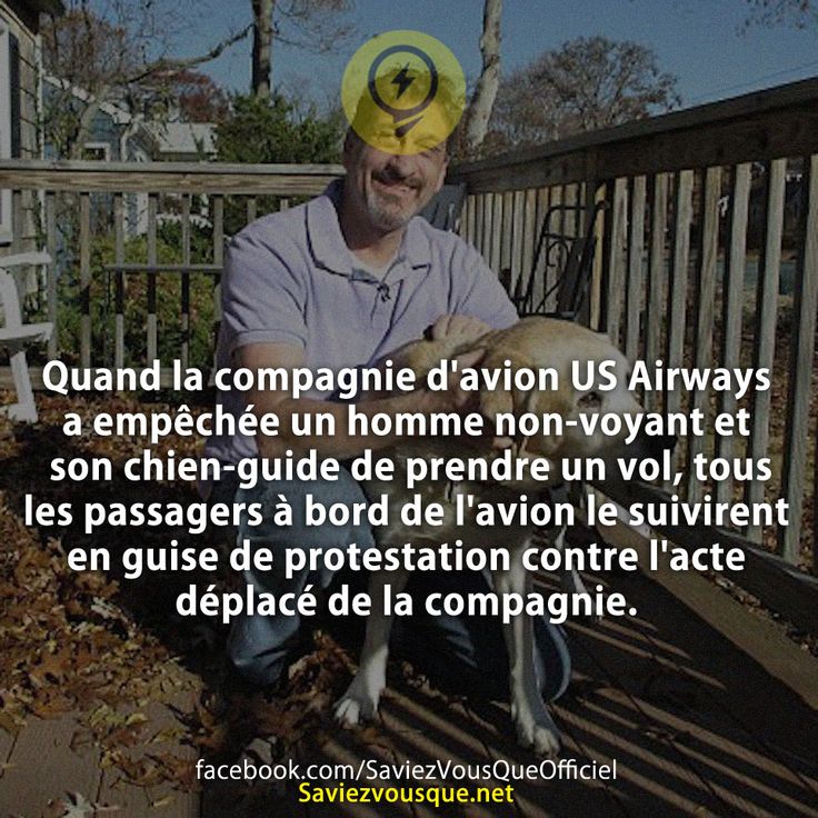 Quand la compagnie d'avion US Airways a empêchée un homme non-voyant et son chien-guide de prendre un vol, tous les passagers à bord de l'avion le suivirent en guise de protestation contre l'acte déplacé de la compagnie.