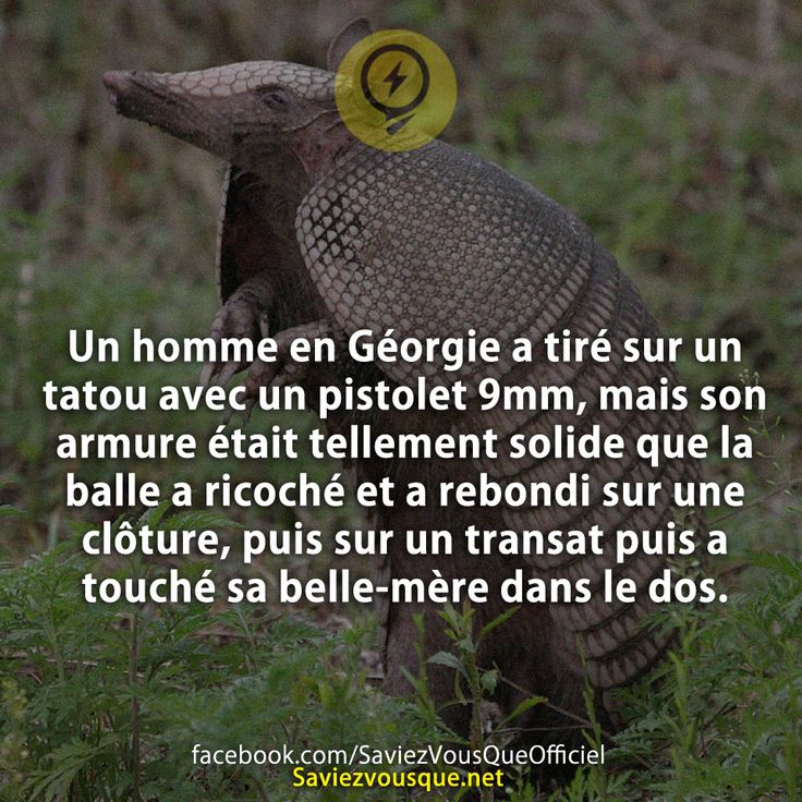 Un homme en Géorgie a tiré sur un tatou avec un pistolet 9mm, mais son armure était tellement solide que la balle a ricoché et a rebondi sur une clôture, puis sur un transat puis a touché sa belle-mère dans le dos.