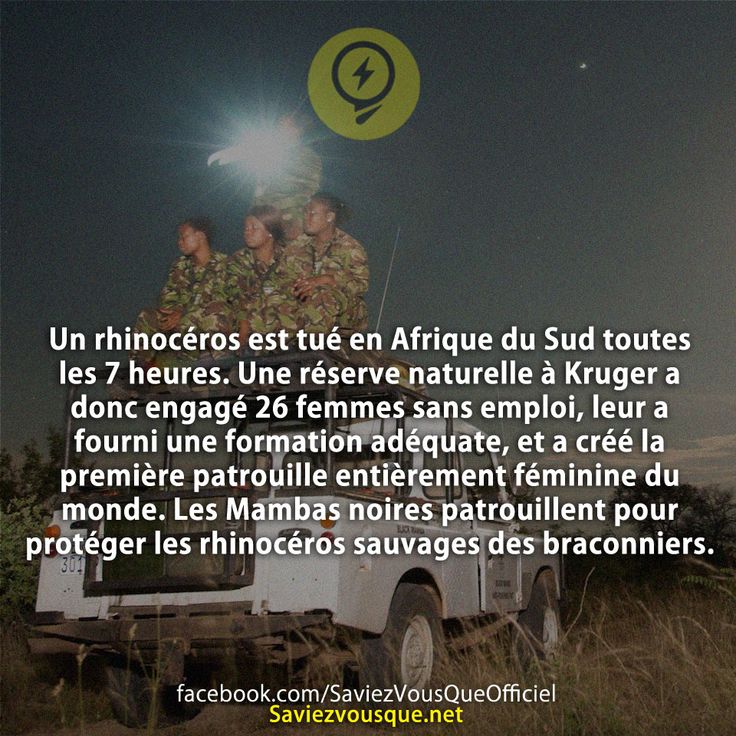 Un rhinocéros est tué en Afrique du Sud toutes les 7 heures. Une réserve naturelle à Kruger a donc engagé 26 femmes sans emploi, leur a fourni une formation adéquate, et a créé la première patrouille entièrement féminine du monde. Les Mambas noires patrouillent pour protéger les rhinocéros sauvages des braconniers.