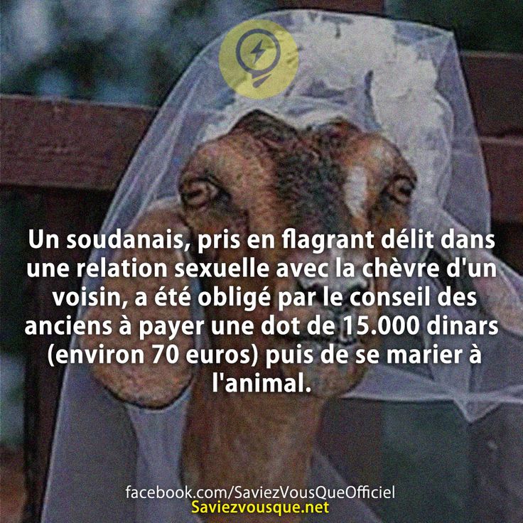 Un soudanais, pris en flagrant délit dans une relation sexuelle avec la chèvre d&#039;un voisin, a été obligé par le conseil des anciens à payer une dot de 15.000 dinars (environ 70 euros) puis de se marier à l&#039;animal.