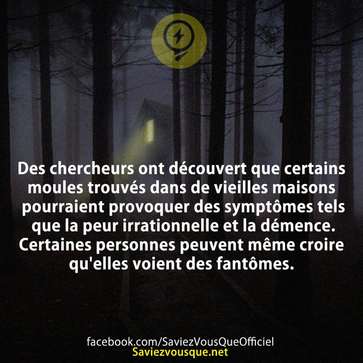Des chercheurs ont découvert que certains moules trouvés dans de vieilles maisons pourraient provoquer des symptômes tels que la peur irrationnelle et la démence. Certaines personnes peuvent même croire qu'elles voient des fantômes.