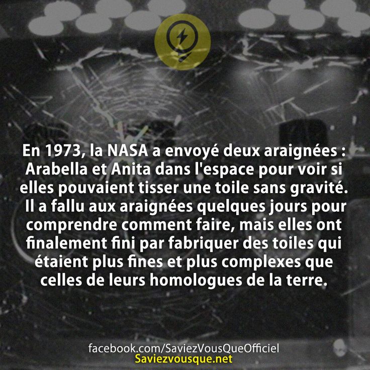 En 1973, la NASA a envoyé deux araignées : Arabella et Anita dans l&#039;espace pour voir si elles pouvaient tisser une toile sans gravité. Il a fallu aux araignées quelques jours pour comprendre comment faire, mais elles ont finalement fini par fabriquer des toiles qui étaient plus fines et plus complexes que celles de leurs homologues de la terre.