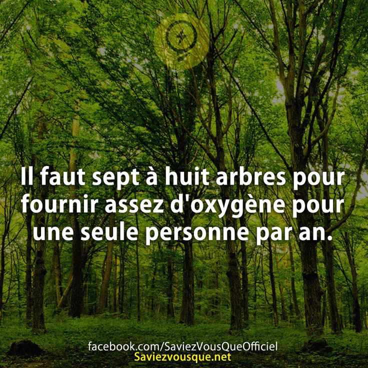 Il faut sept à huit arbres pour fournir assez d&#039;oxygène pour une seule personne par an.