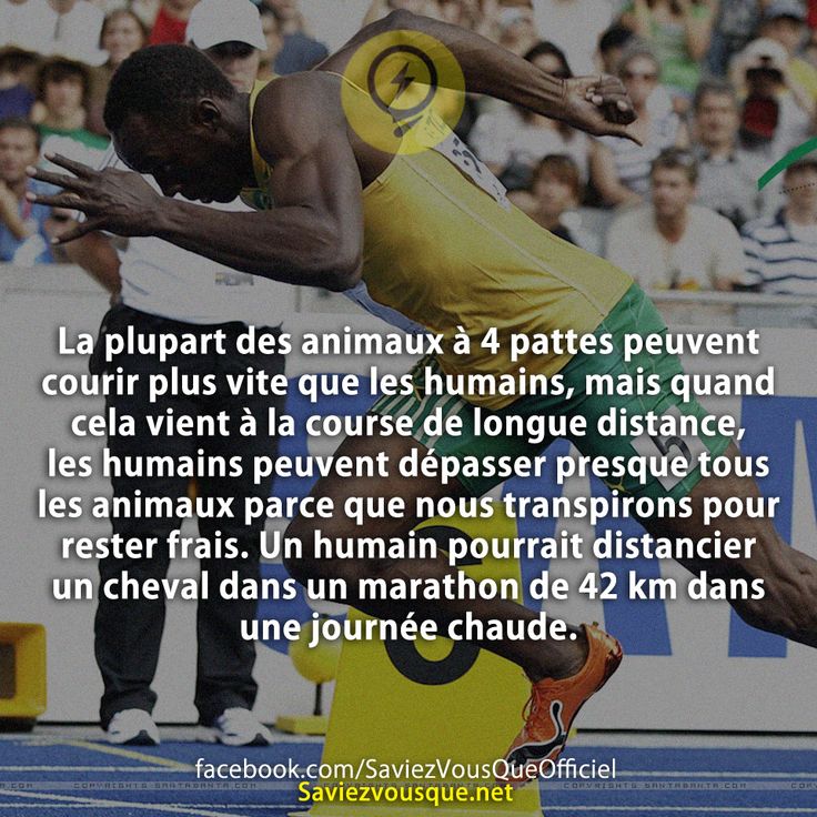 La plupart des animaux à 4 pattes peuvent courir plus vite que les humains, mais quand cela vient à la course de longue distance, les humains peuvent dépasser presque tous les animaux parce que nous transpirons pour rester frais. Un humain pourrait distancier un cheval dans un marathon de 42 km dans une journée chaude.