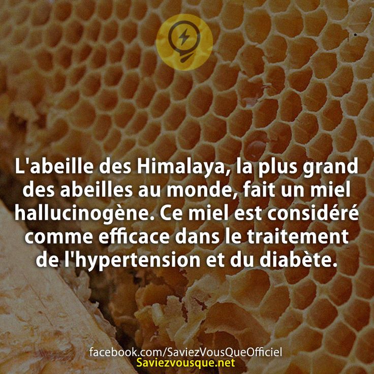 L&#039;abeille des Himalaya, la plus grand des abeilles au monde, fait un miel hallucinogène. Ce miel est considéré comme efficace dans le traitement de l&#039;hypertension et du diabète.