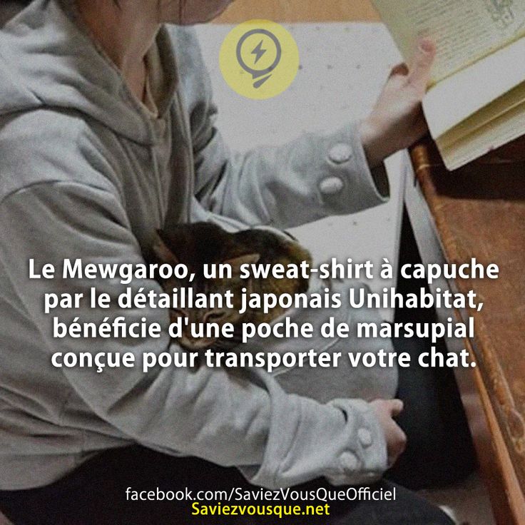 Le Mewgaroo, un sweat-shirt à capuche par le détaillant japonais Unihabitat, bénéficie d&#039;une poche de marsupial conçue pour transporter votre chat.