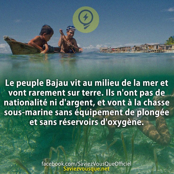 Le peuple Bajau vit au milieu de la mer et vont rarement sur terre. Ils n&#039;ont pas de nationalité ni d&#039;argent, et vont à la chasse sous-marine sans équipement de plongée et sans réservoirs d&#039;oxygène.