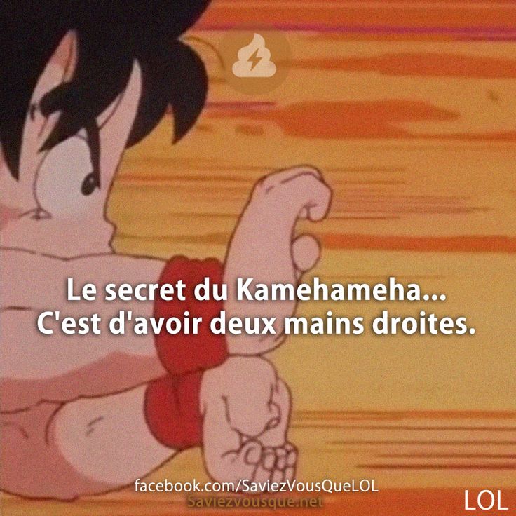 Le secret du Kamehameha... C&#039;est d&#039;avoir deux mains droites.