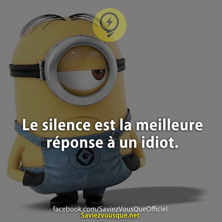 Le silence est la meilleure réponse à un idiot.