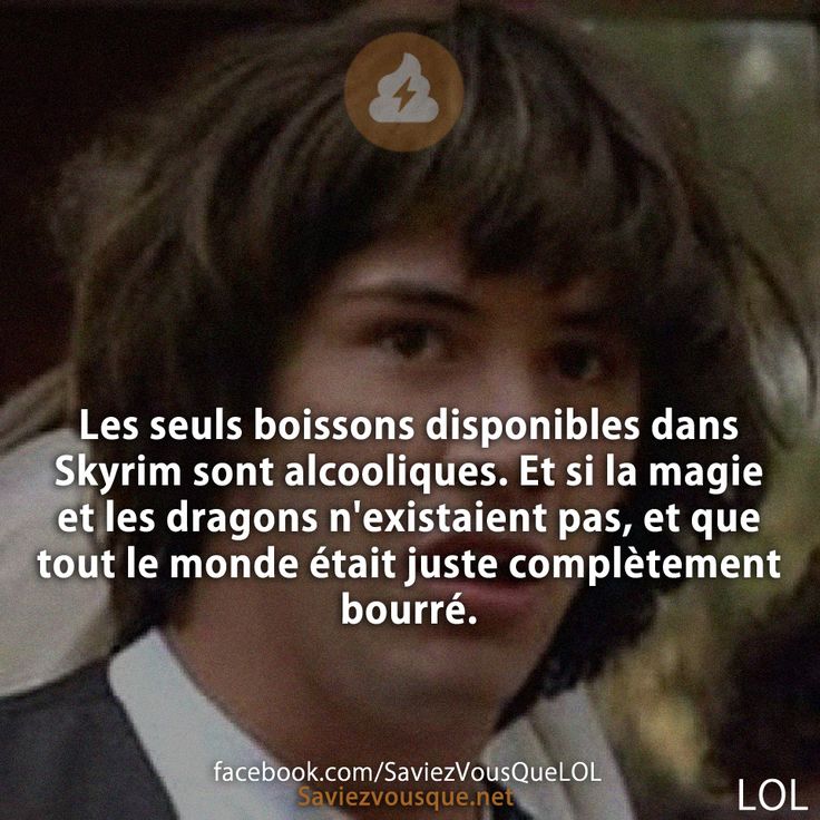 Les seuls boissons disponibles dans Skyrim sont alcooliques Et si la magie et les dragons n&#039;existaient pas, et que tout le monde était juste complètement bourré.