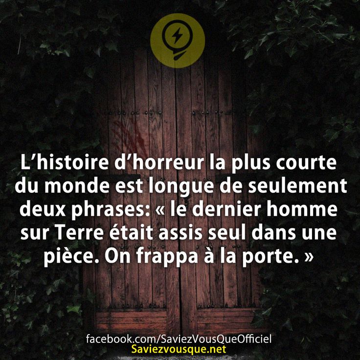 L’histoire d’horreur la plus courte du monde est longue de seulement deux phrases: « le dernier homme sur Terre était assis seul dans une pièce. On frappa à la porte. »