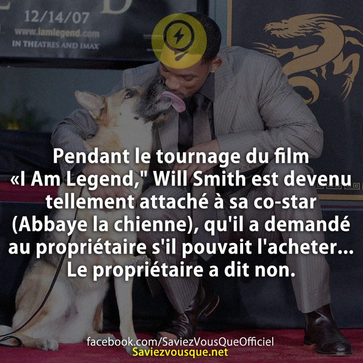 Pendant le tournage du film «I Am Legend,&quot; Will Smith est devenu tellement attaché à sa co-star (Abbaye la chienne), qu&#039;il a demandé au propriétaire s&#039;il pouvait l&#039;acheter ... Le propriétaire a dit non.