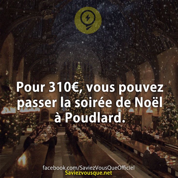 Pour 310€, vous pouvez passer la soirée de Noël à Poudlard.