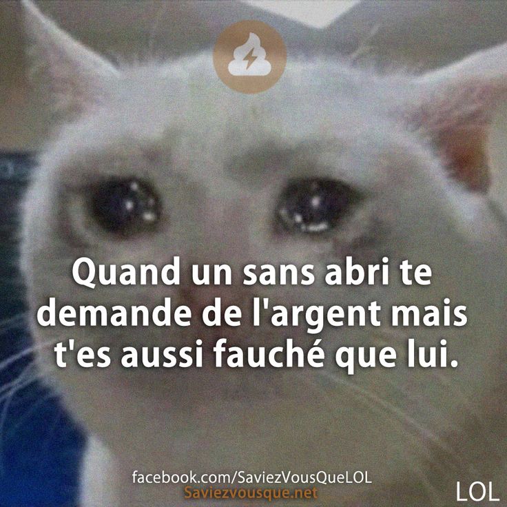 Quand un sans abri te demande de l&#039;argent mais t&#039;es aussi fauché que lui.