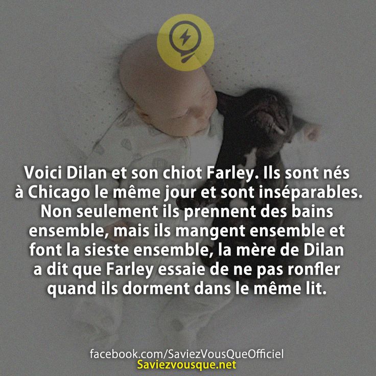 Voici Dilan et son chiot Farley. Ils sont nés à Chicago le même jour et sont inséparables. Non seulement ils prennent des bains ensemble, mais ils mangent ensemble et font la sieste ensemble, la mère de Dilan a dit que Farley essaie de ne pas ronfler quand ils dorment dans le même lit.