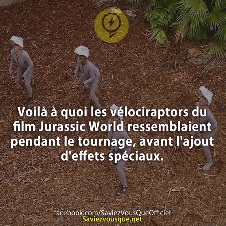 Voilà à quoi les vélociraptors du film Jurassic World ressemblaient pendant le tournage, avant l&#039;ajout d&#039;effets spéciaux.