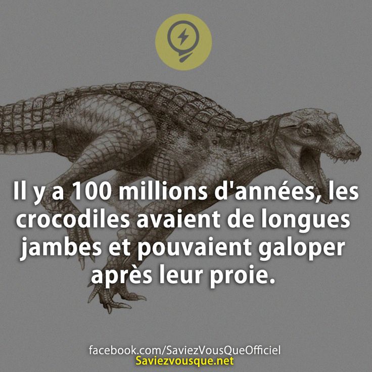 Il y a 100 millions d&#039;années, les crocodiles avaient de longues jambes et pouvaient galoper après leur proie.