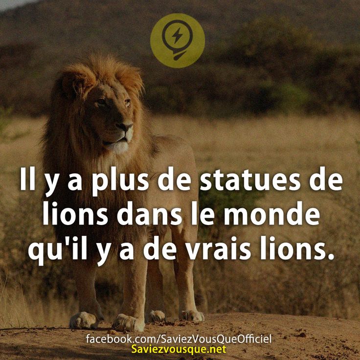 Il y a plus de statues de lions dans le monde qu&#039;il y a de vrais lions.