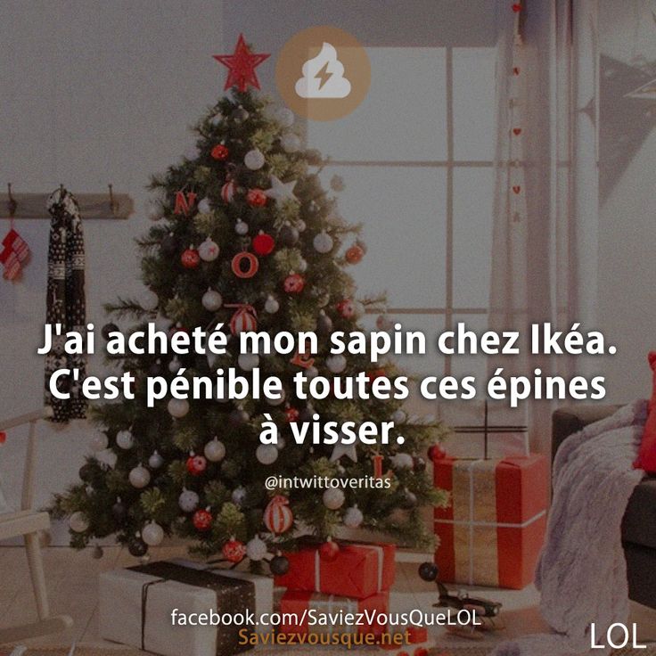 J&#039;ai acheté mon sapin chez Ikéa. C&#039;est pénible toutes ces épines à visser.