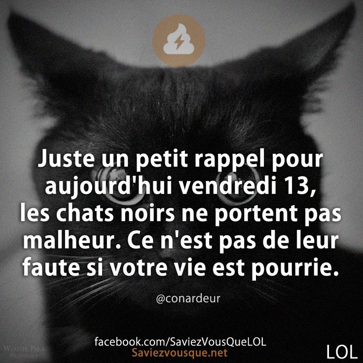 Juste un petit rappel pour aujourd&#039;hui vendredi 13, les chats noirs ne portent pas malheur. Ce n&#039;est pas de leur faute si votre vie est pourrie.